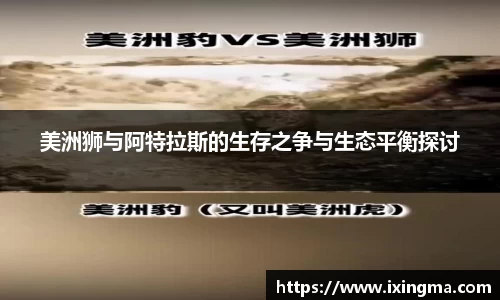 美洲狮与阿特拉斯的生存之争与生态平衡探讨